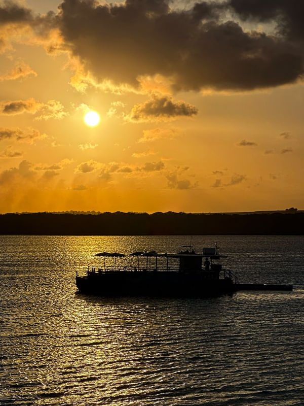 POR DO SOL JACARÉ
