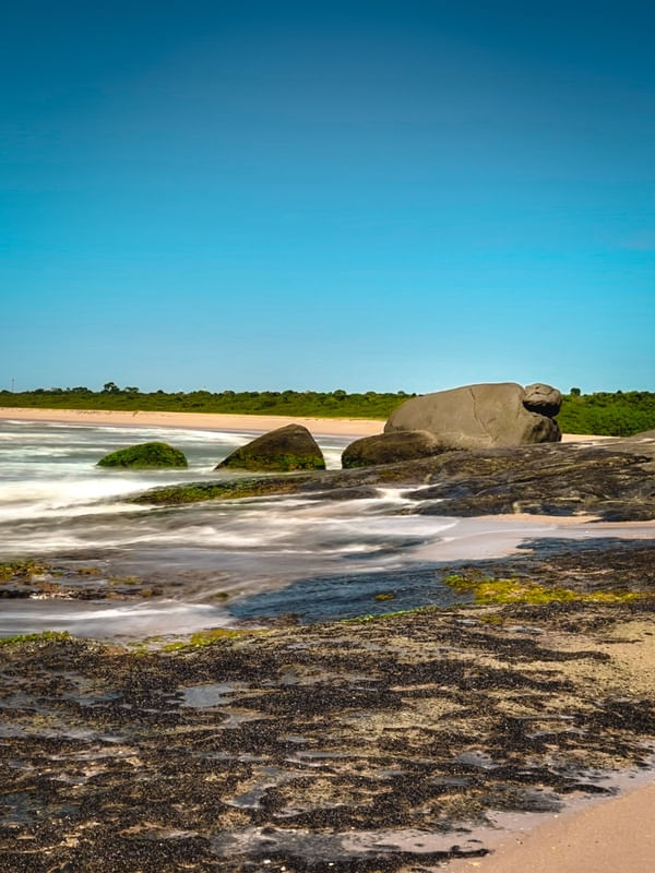 MAR DE GURAPARI ES