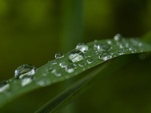 MANHÃ NO JARDIM
