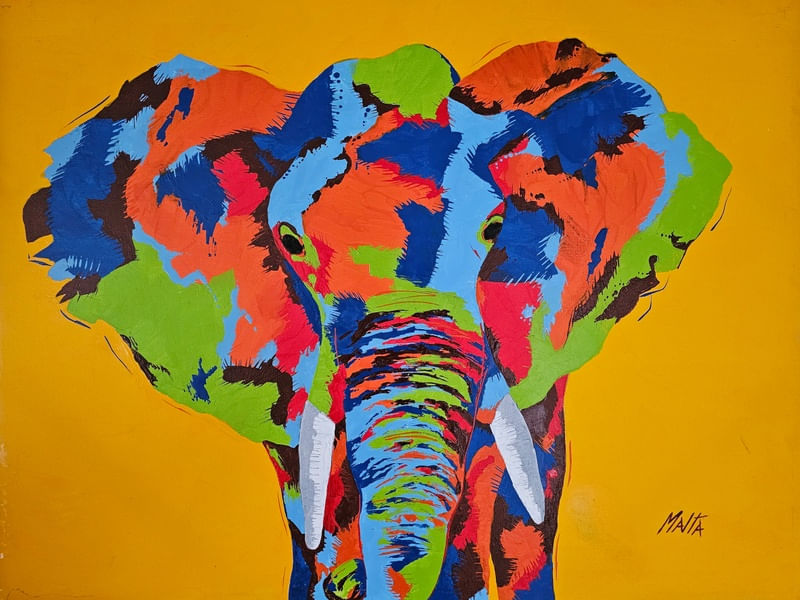 ELEFANTE EM CORES