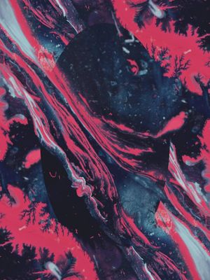 CAMINHO DAS CORES 1