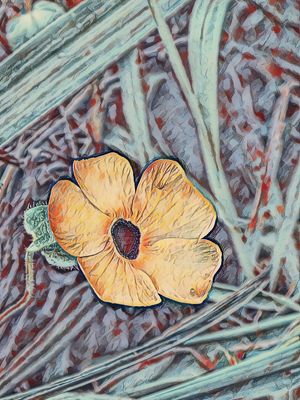 FLOR MISTERIOSA II
