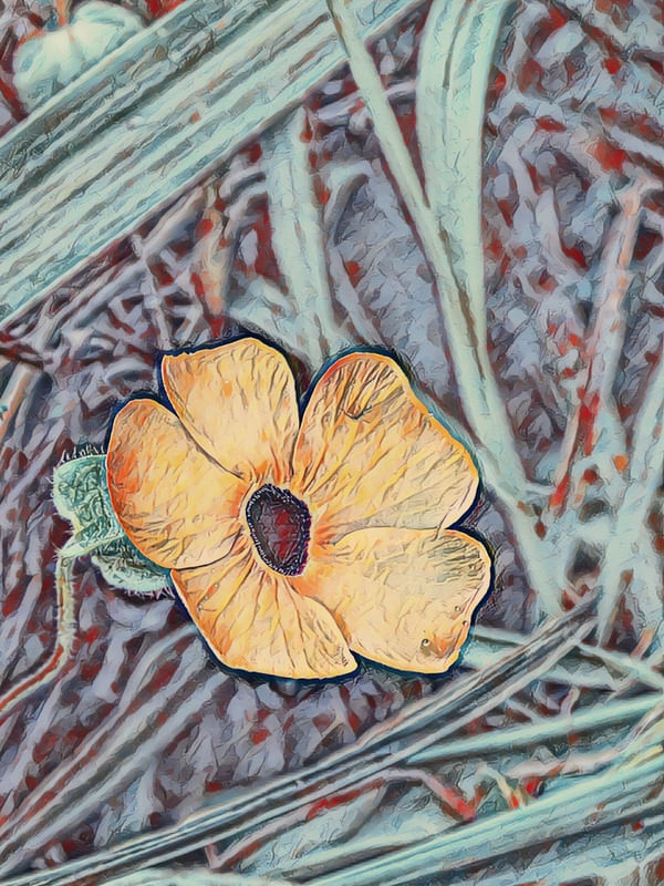 FLOR MISTERIOSA II