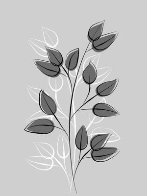 PLANTA CINZA II