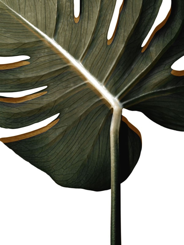 TROPICAL LEAF BLACK