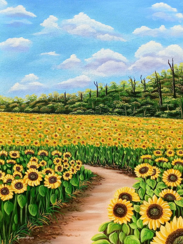 CAMINHO COM GIRASSÓIS LX