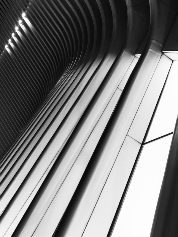 OCULUS LINES V