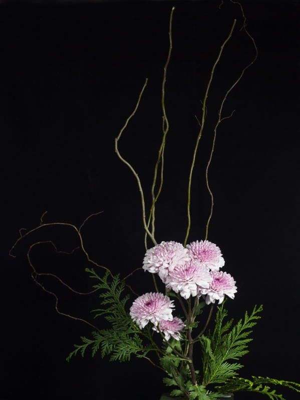 FLORES RR2