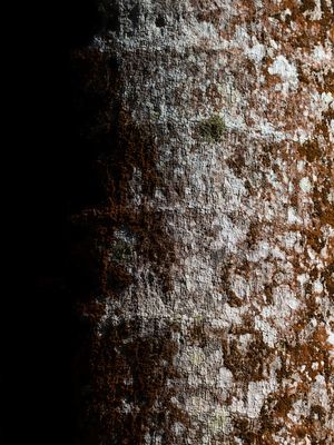 TEXTURA RR