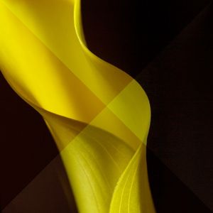 DETALHE FLOR CALLA 4
