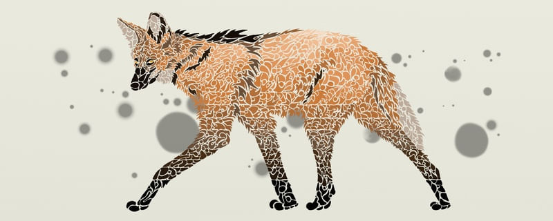 DESCONSTRUÇÃO 036 - LOBO-GUARÁ 1