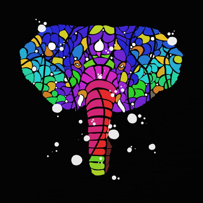 DESCONSTRUÇÃO 034 - ELEFANTE 2