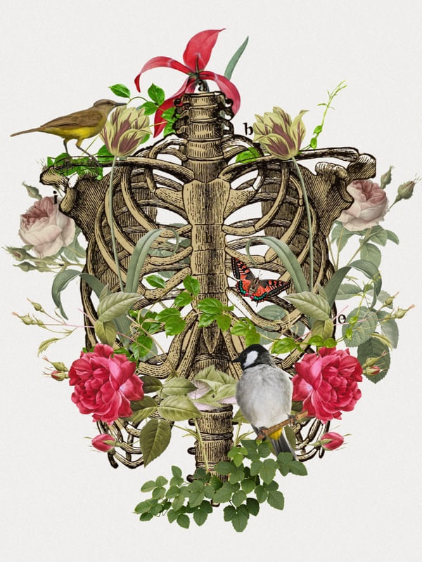 TORAX FLORAL