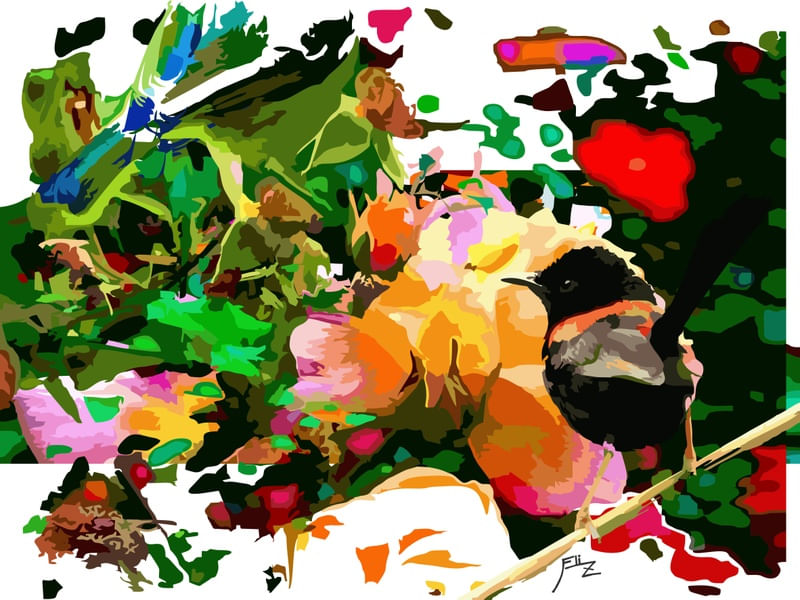 PÁSSARO NO MEIO DAS CORES POR F ELI Z