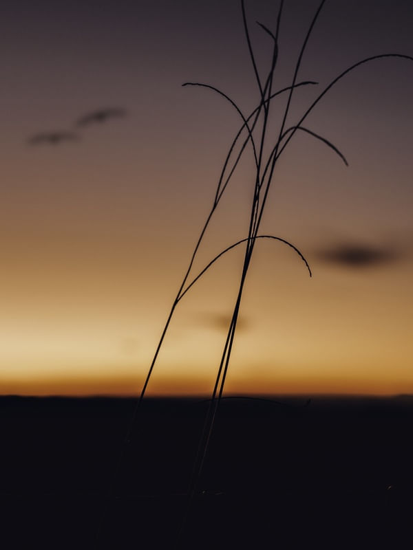 ORANGE SKY BRAZIL