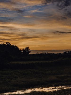 AMANHECER PELA JANELA