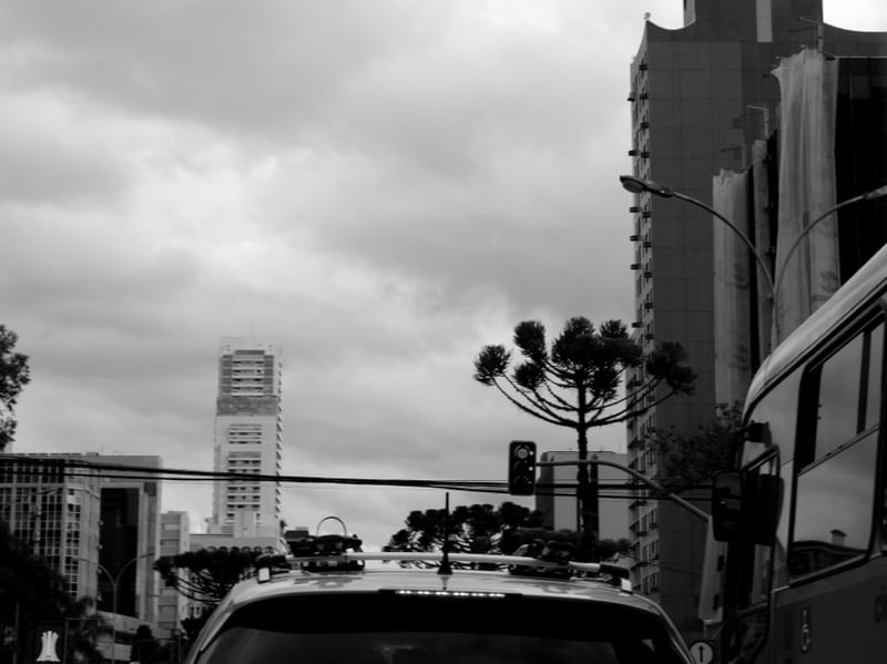 TRANSITO POR LUISAFORNASARI
