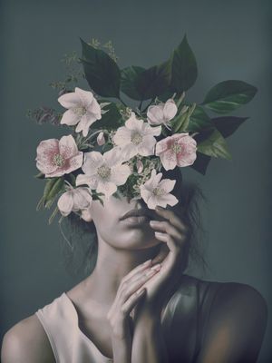 BLOOM 22-2