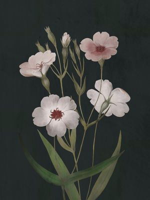 GARDEN FLOWERS 6