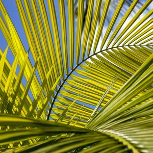 TROPICAL LEAF 45075407 LL