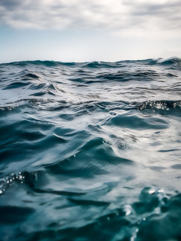 PERTO DAS ONDAS