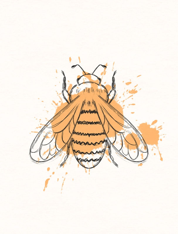 SKETCHY BEE