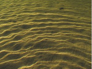 TEXTURA DE RIO