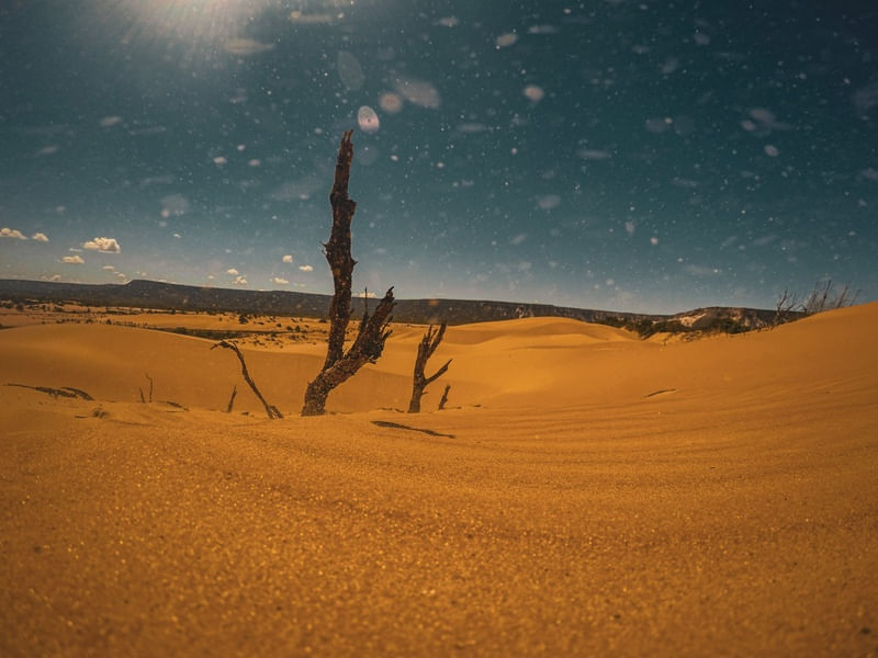 DUNAS JALAPÃO VENTO