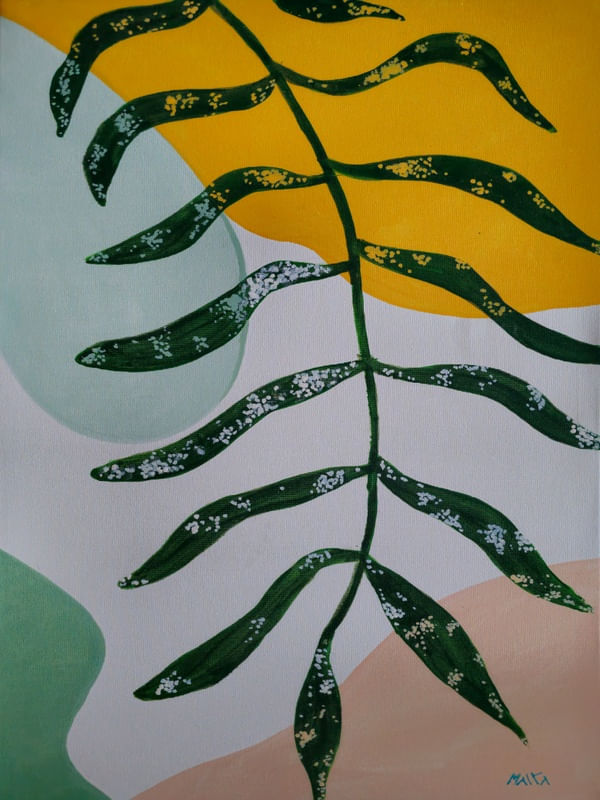 PLANTA NO CERRADO 2