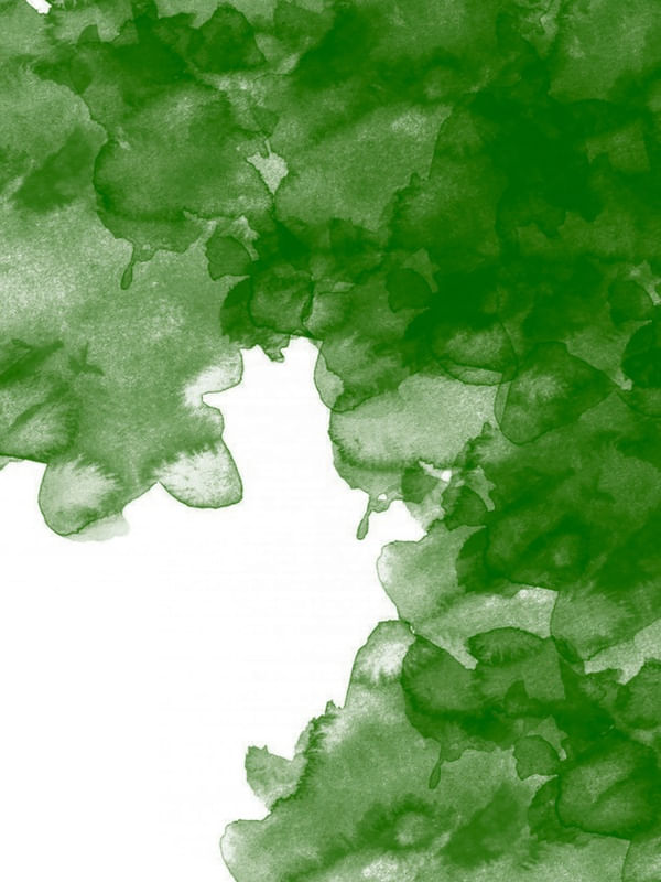VERDE ESCALA