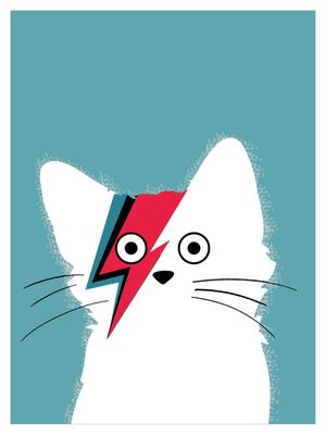 GATO BOWIE