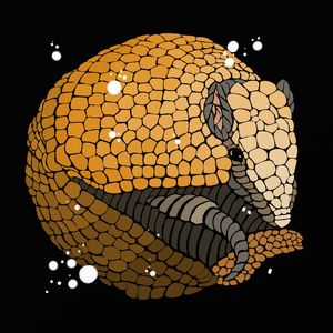 DESCONSTRUÇÃO 047 - TATU-BOLA 1