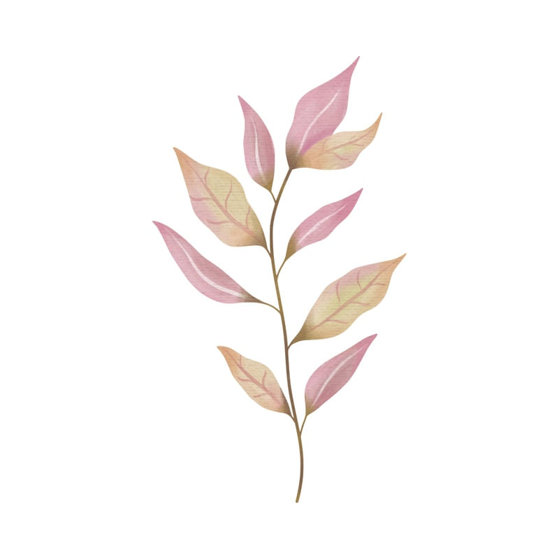 FOLHA ROSE MINIMALISTA 03