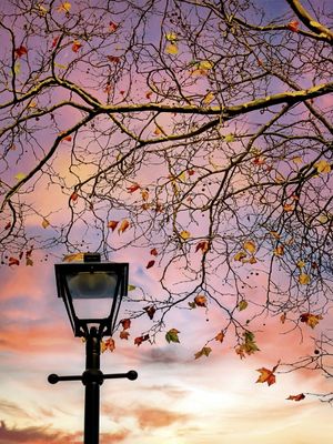 STREET LIGHT 2