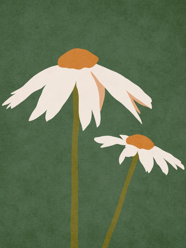 MINIMALIST FLOWERS 01V