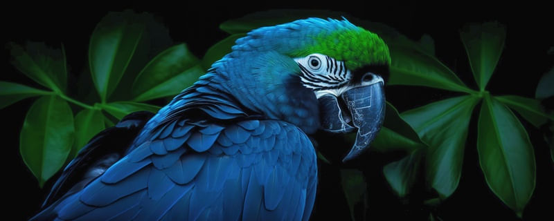 ARARA NA FLORESTA 03 BY AI