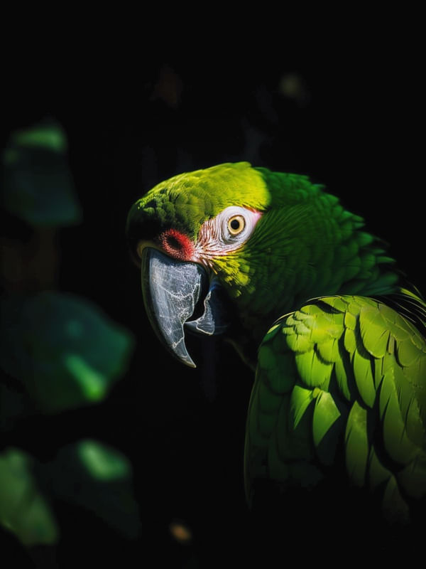 ARARA NA FLORESTA 04 BY AI