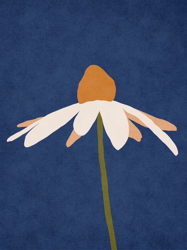 MINIMALIST FLOWER 02AE