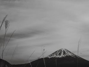FUJI SAN - SHOJI LAKE