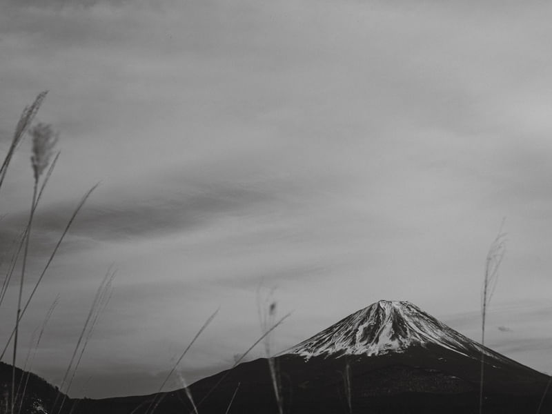FUJI SAN - SHOJI LAKE