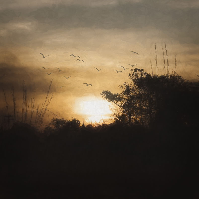 ATARDECER