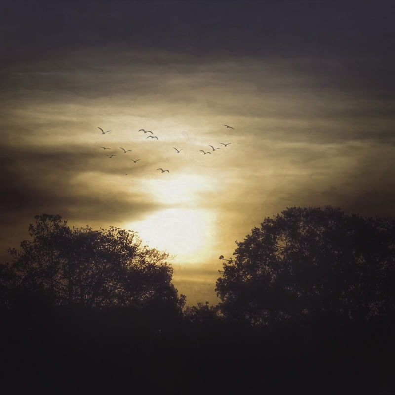 SUNSET IN LUZIANKA