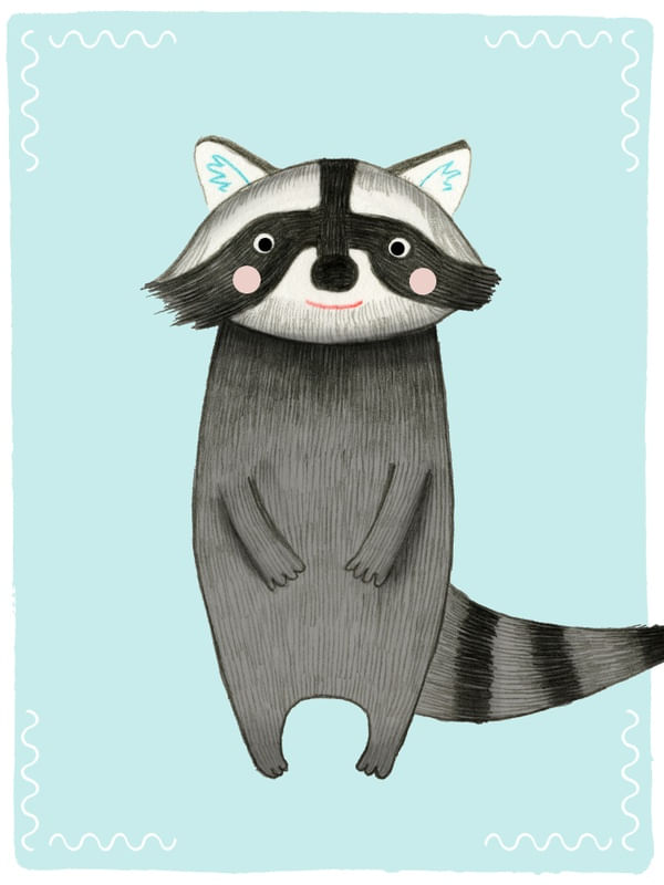 JUDITH LOSKE - RACCOON