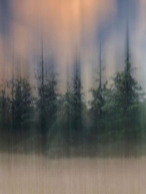 NORTHERN COLORS