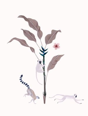 FANTOM FIFI ART - BOTANICAL ILLUSTRATION MONKEYS
