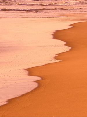 SEA 47