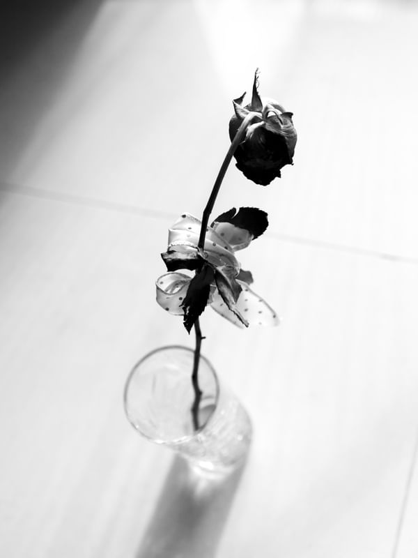 FLOR EM CASA