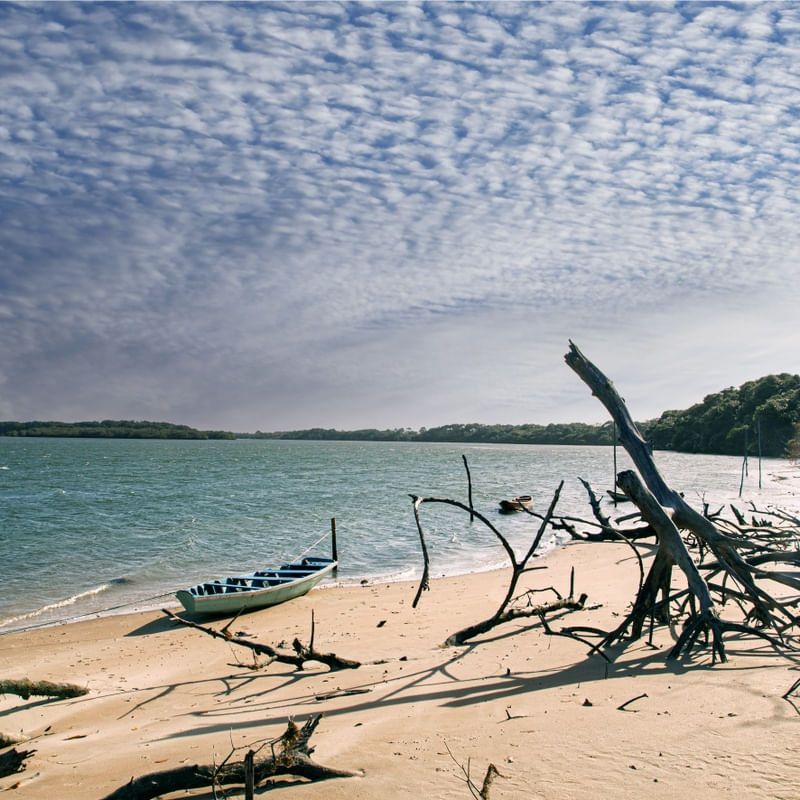 MACAPÁ BLUE BOAT 4