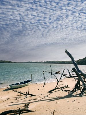 MACAPÁ BLUE BOAT 5