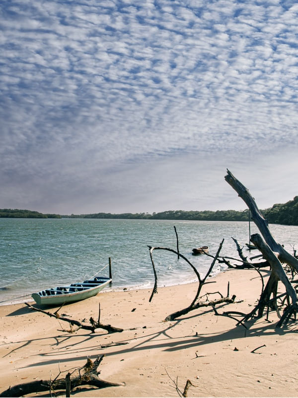 MACAPÁ BLUE BOAT 5